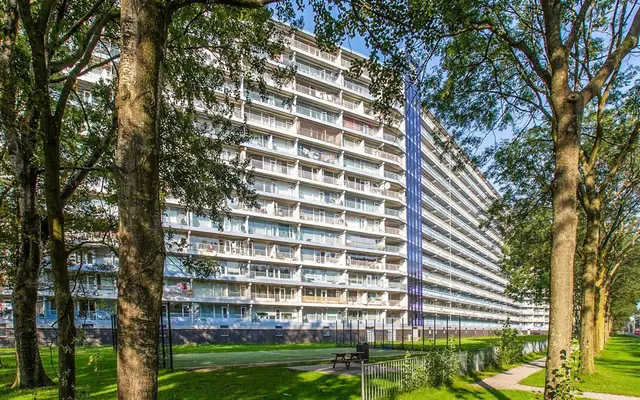 Foto van Pharus 355, Zaandam