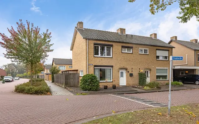 Foto van Dopheide 1, Haelen