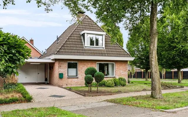 Foto van Ganzenmars 12, Den Ham