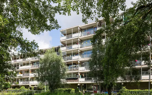 Foto van Pampus 142, Haarlem