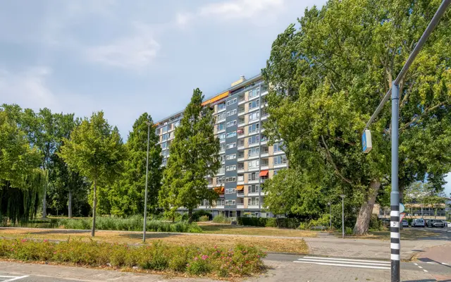 Foto van Burgemeester Van Haarenlaan 1350, Schiedam