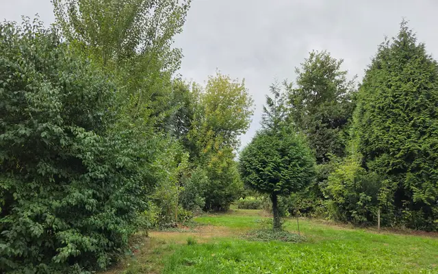Foto van Oude Maasdijk 24, Dreumel